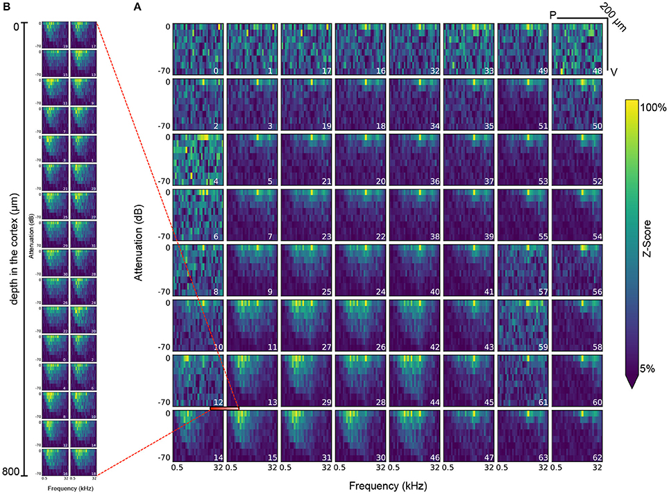 Fig8 Rubel FInNeuroinformatics2016 10.jpg