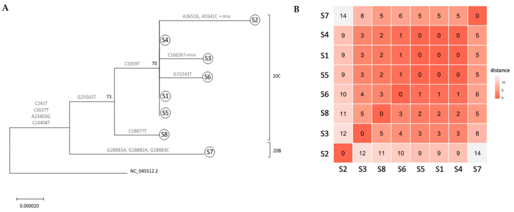 Fig1 Zuckerman Viruses2020 12-8.png