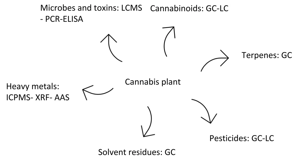 Fig2 Lazarjani BMCJournCannaRes2020 2.png