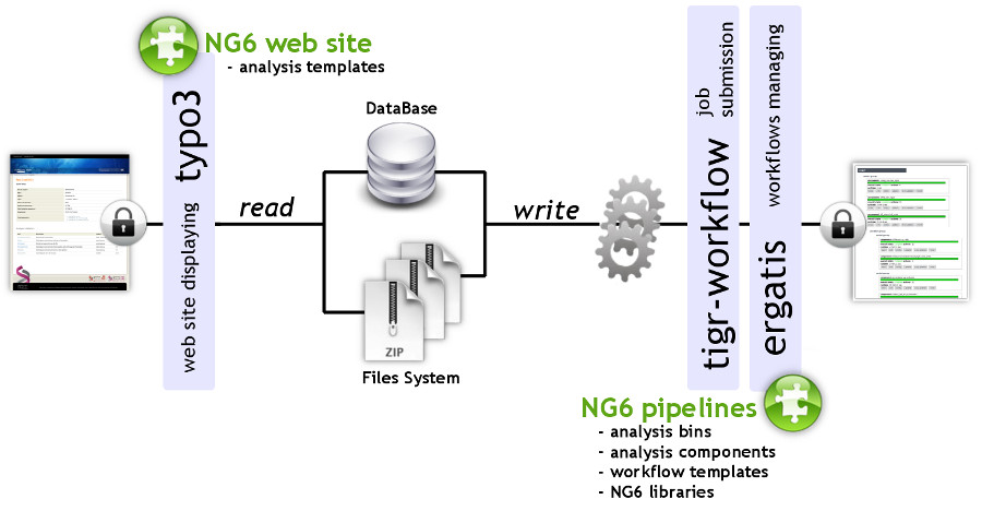 Fig1 Mariette BMCGenomics2015 13.jpg