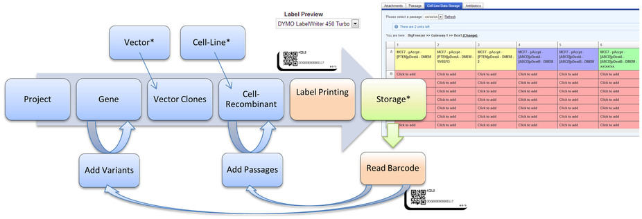 Fig2 List ScientificReports2014 4.jpg