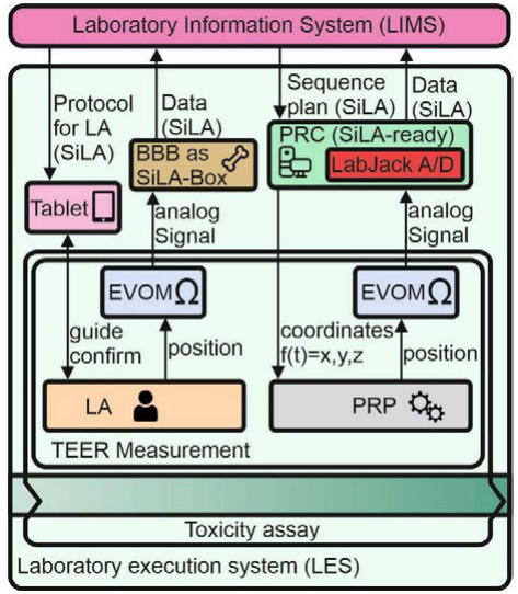 Fig3 Schmieder CurrentDirBioEng2019 5-1.png