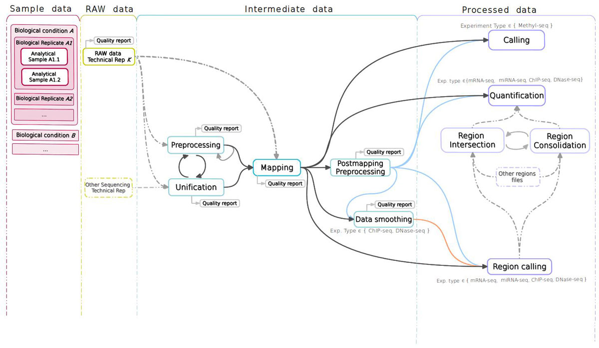 Fig3 Hernandez BMCSystemsBiology2014 8-Suppl2.jpg