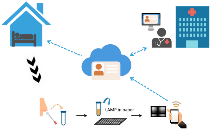 Fig1 Yang Diagnostics2020 10-3.png