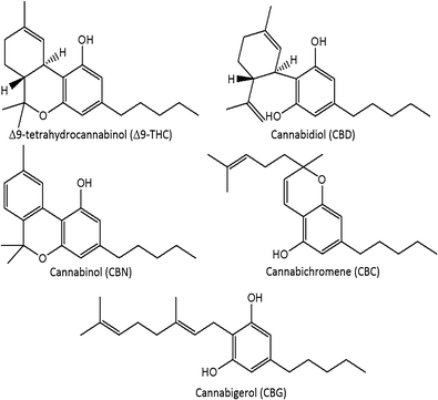 Fig1 Mudge AnalBioChem2017 409-12.gif