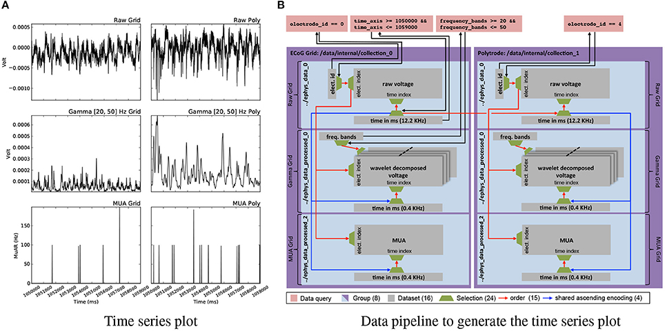 Fig7 Rubel FInNeuroinformatics2016 10.jpg