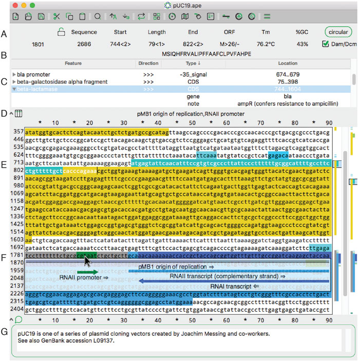 Fig1.1 Davis FrontBioinfo2022 40.jpg