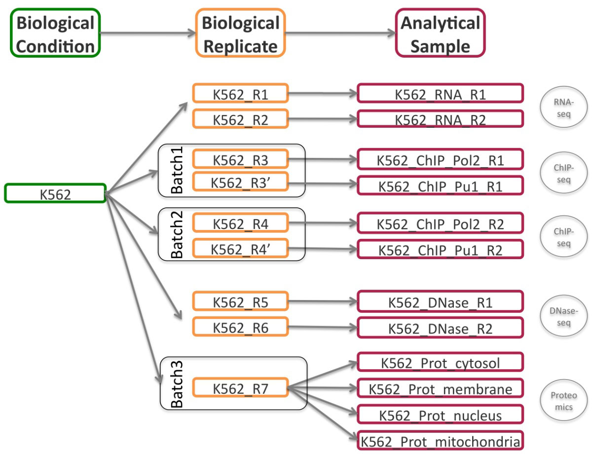 Fig6 Hernandez BMCSystemsBiology2014 8-Suppl2.jpg