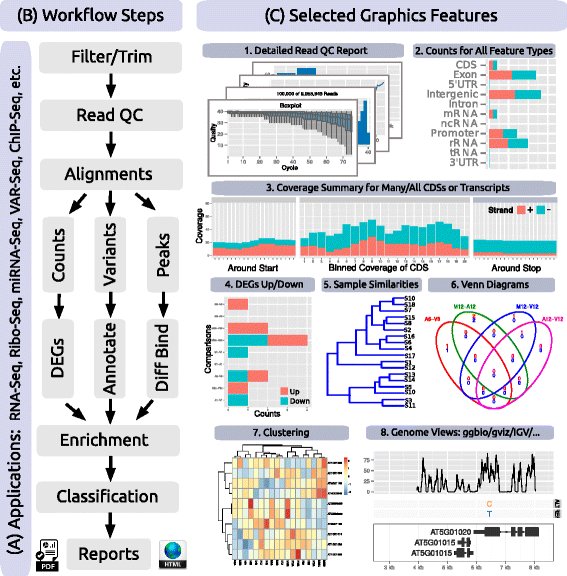 Fig2 Backman BMCBio2016 17.gif