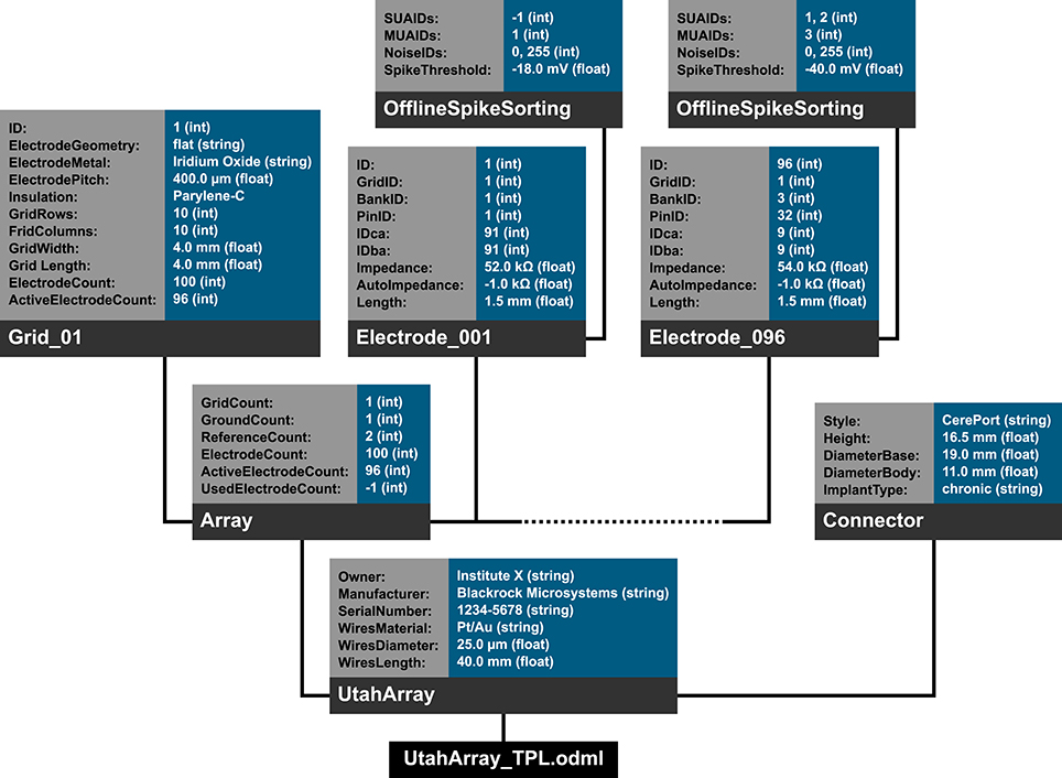 Fig6 Zehl FrontInNeuro2016 10.jpg