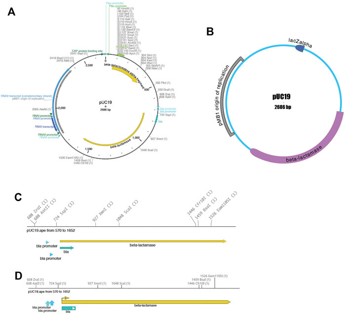 Fig2 Davis FrontBioinfo2022 40.jpg