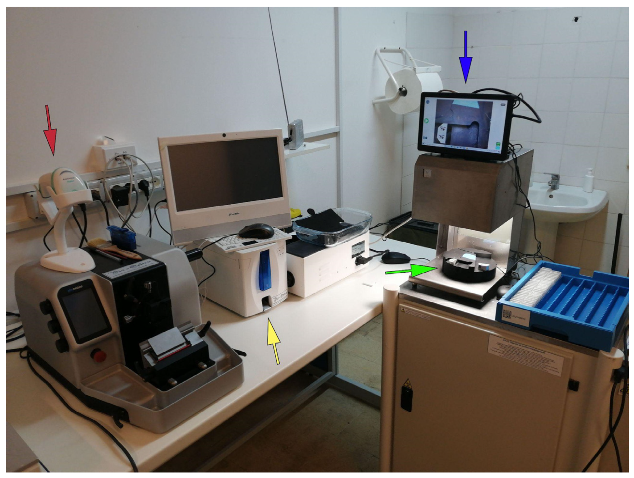 Fig7 Fraggetta Diagnostics21 11-10.png