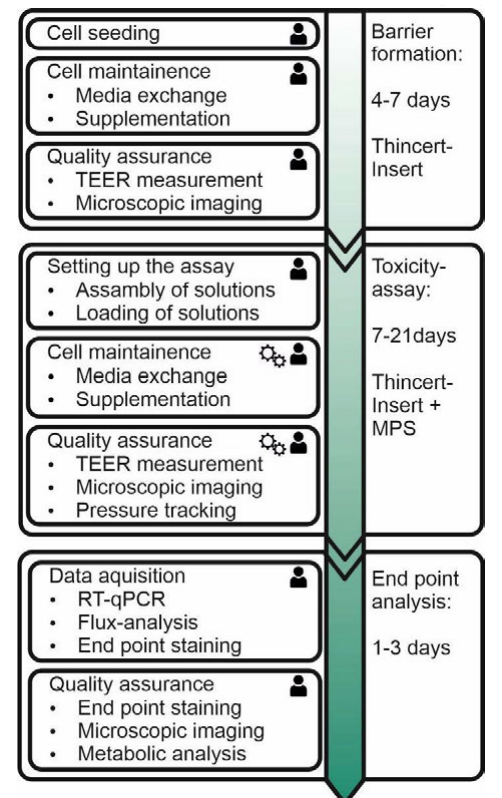 Fig1 Schmieder CurrentDirBioEng2019 5-1.png