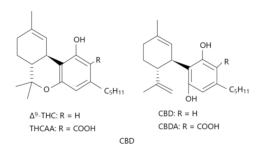 Fig1 ElSohly MedCannCannab2020 3-1.jpg