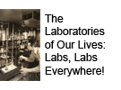 The Laboratories of Our Lives: Labs, Labs Everywhere!