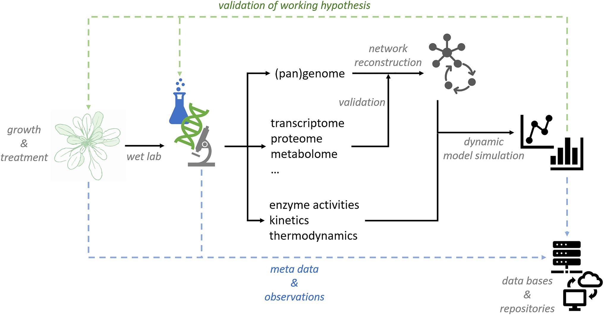 Fig3 Krantz FrontPlantSci2021 12.jpg