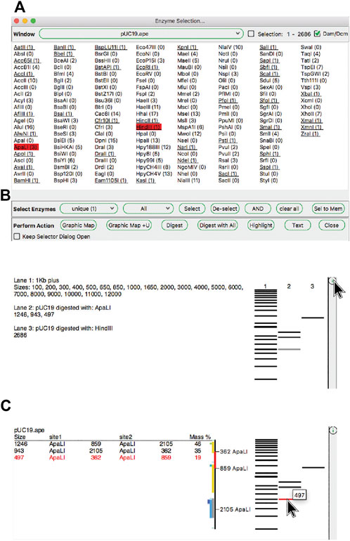 Fig3 Davis FrontBioinfo2022 40.jpg