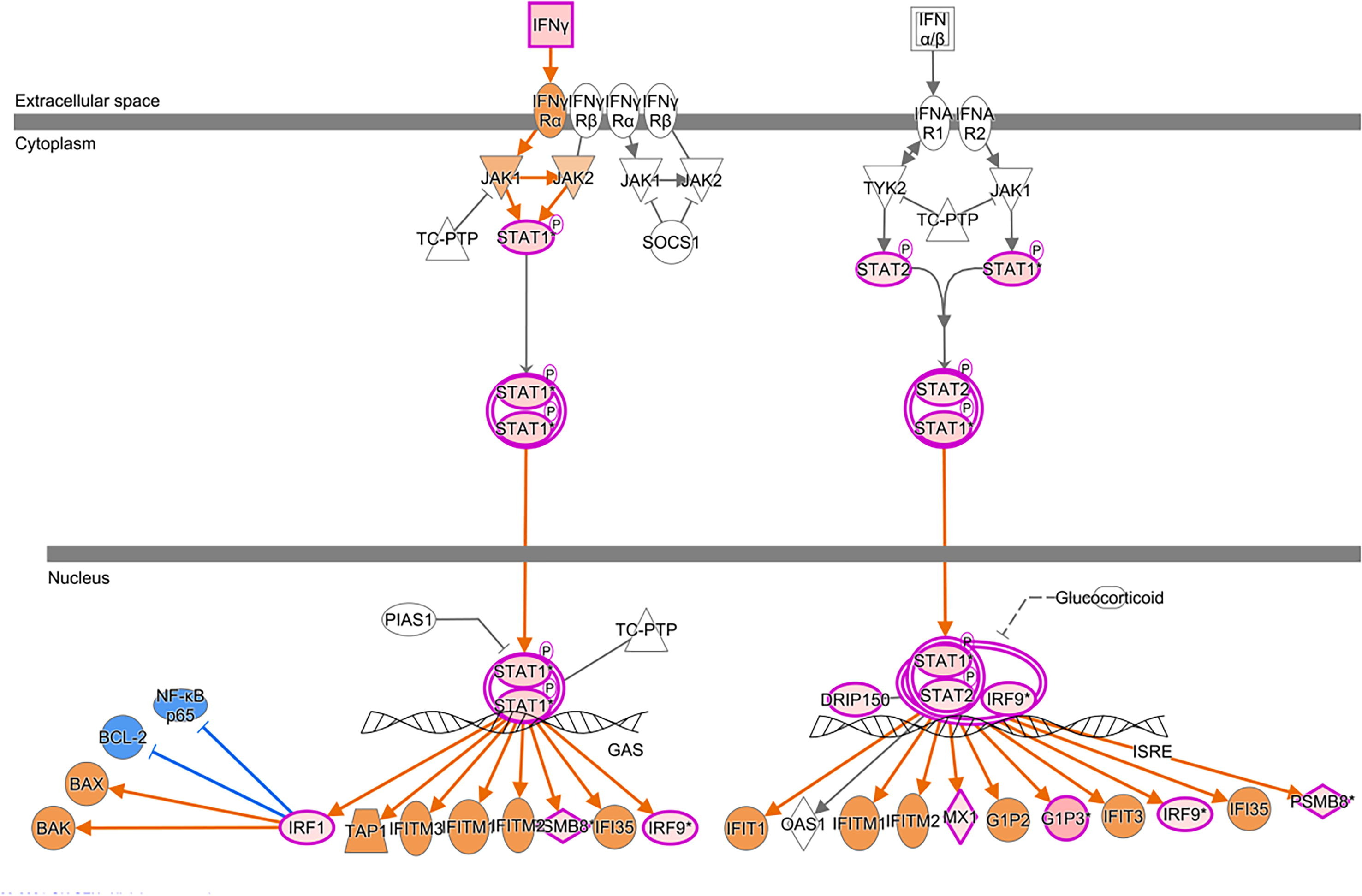 Fig7 Karim JofKSUScience2022 34-2.jpg