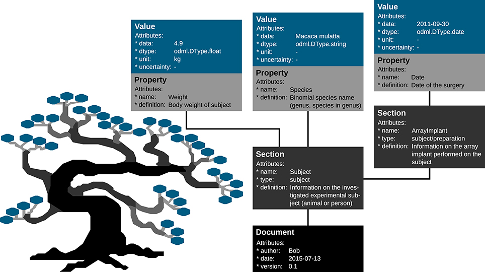 Fig5 Zehl FrontInNeuro2016 10.jpg