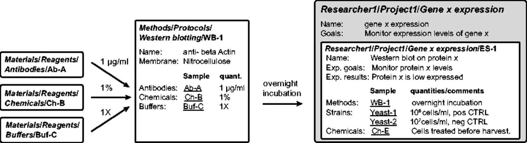 Fig3 Barillari Bioinformatics2015 32-4.jpg