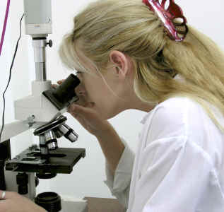 Blonde lab tech at microscope cropped.jpg