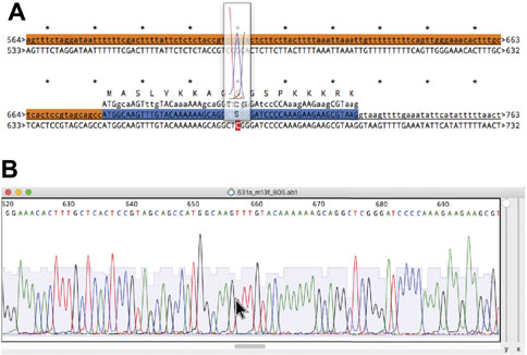 Fig10 Davis FrontBioinfo2022 40.jpg