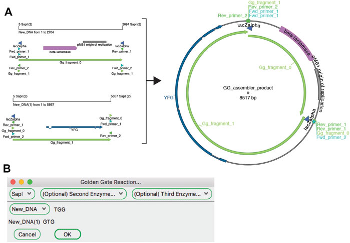 Fig5 Davis FrontBioinfo2022 40.jpg