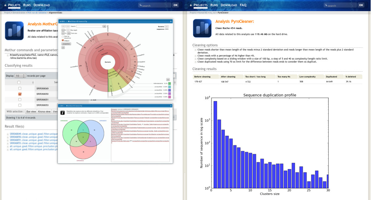 Fig4 Mariette BMCGenomics2015 13.jpg