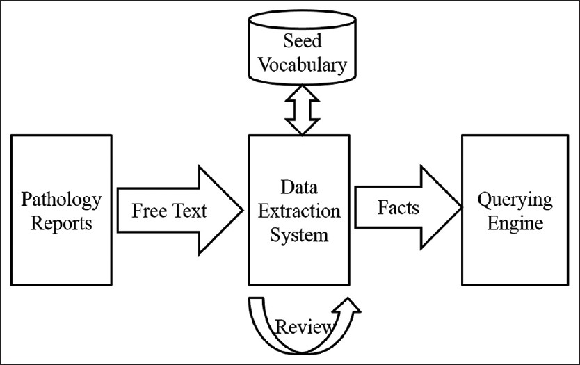 Fig3 Zheng JPathInfo2015 6.jpg